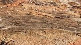 A BEAUTIFUL YOUNG GIRL IS OBSERVED having sex in PUBLIC on the rocks ON THE BEACH and is disturbed by a THIRD INDIVIDUAL... . porn video
